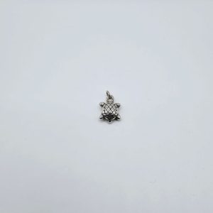 DIJE TORTUGA PLATA INFLADA